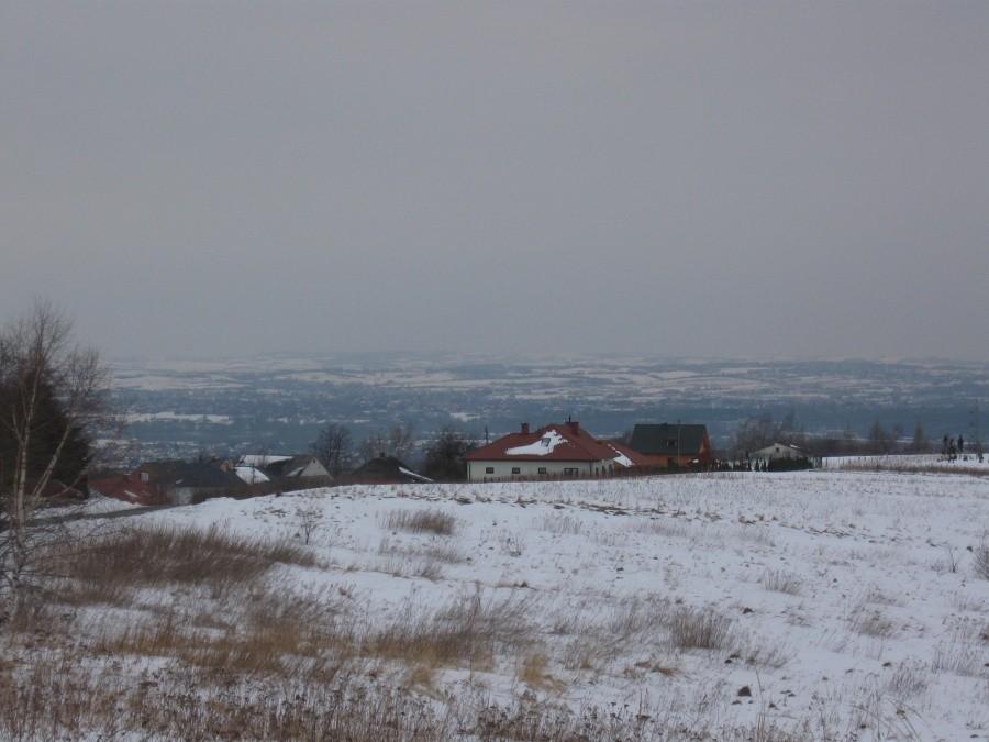 Łany- w stronę Rzeszowa.
