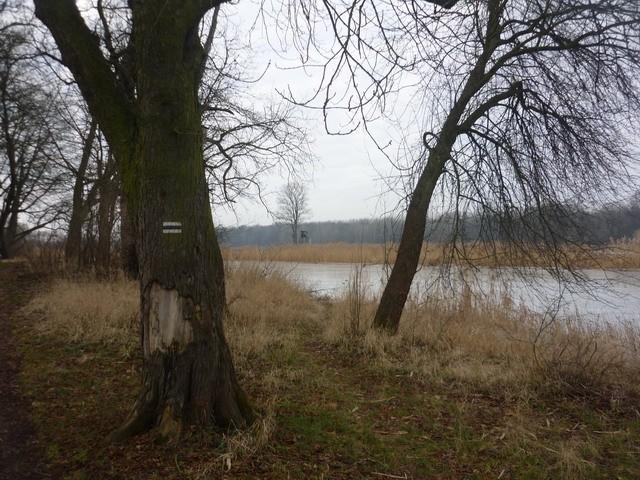 Rezerwat "Wielka Kępa"