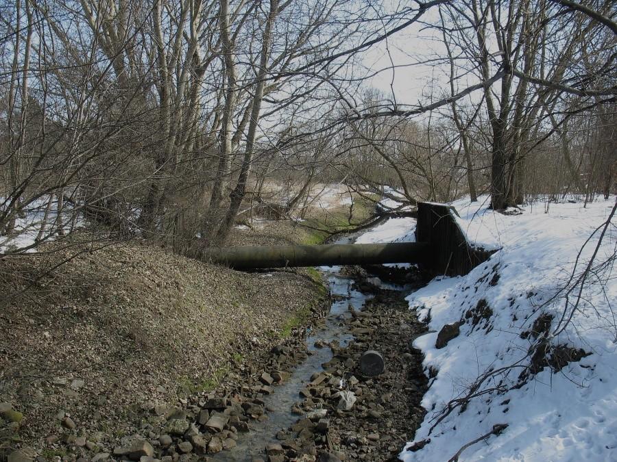 Potok Służewiecki przy ul. Kłobuckiej