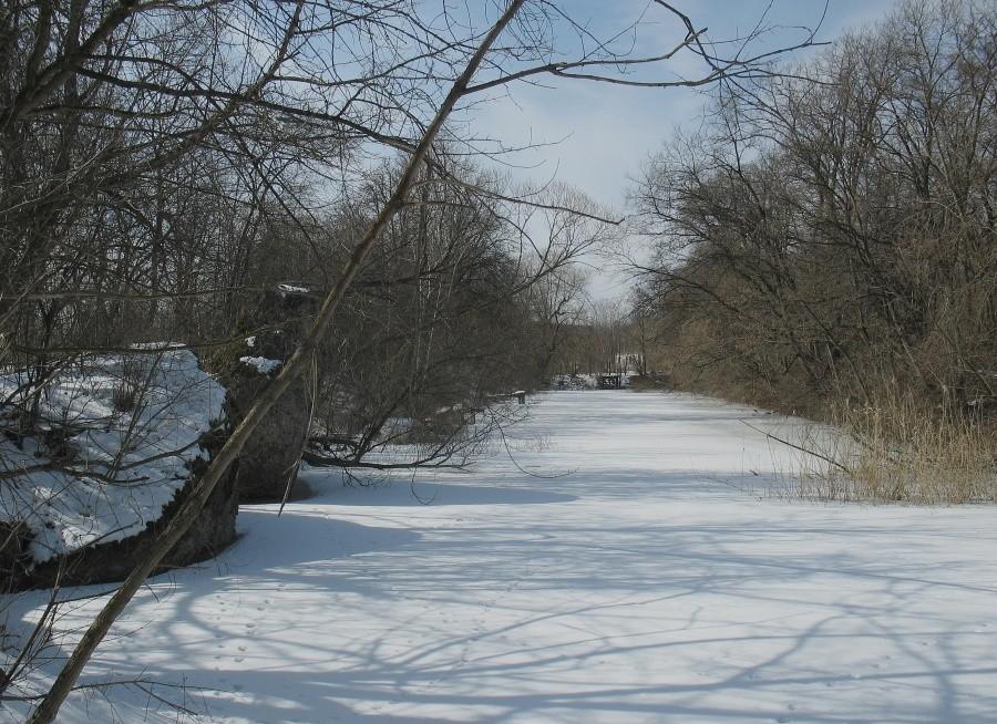 Południowa fosa Fortu Zbarż