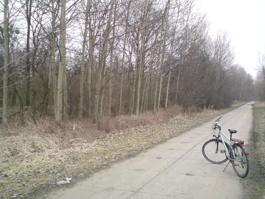 Betonówka nad Odrą
