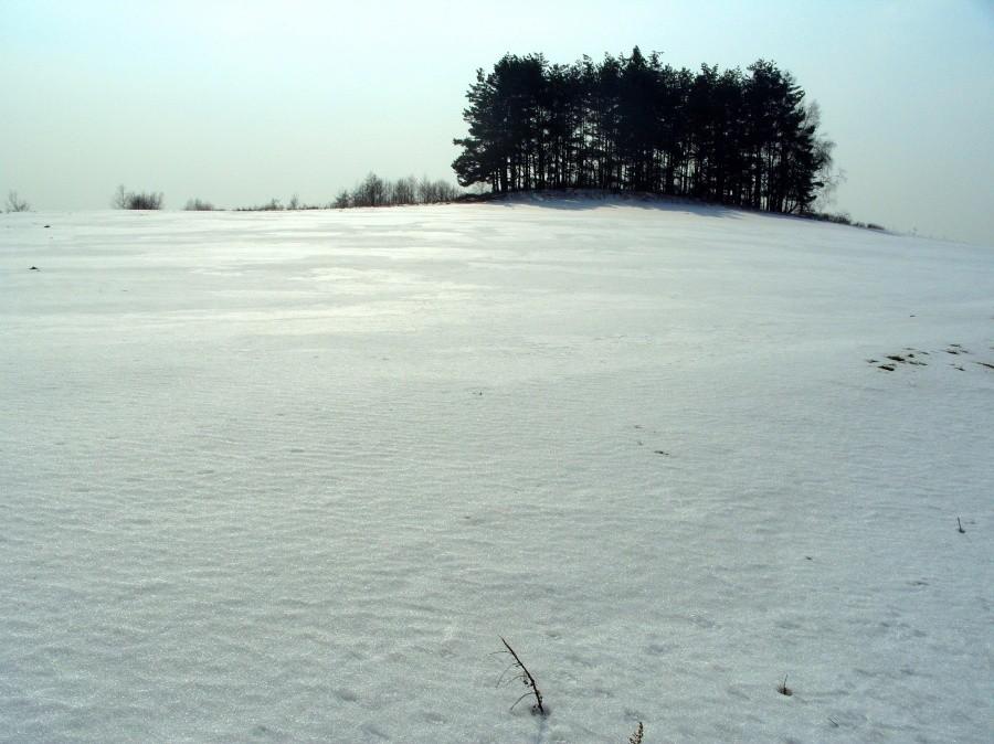 Mały plener i słońce ładnie się odbijało no to i fotka, Kolonia Gaj.