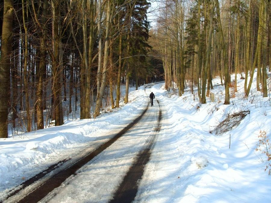 3 km przed Podzamkiem super droga, Ryjek wypina SPD a ja spinam się na szaleństwo po śniegu ;).