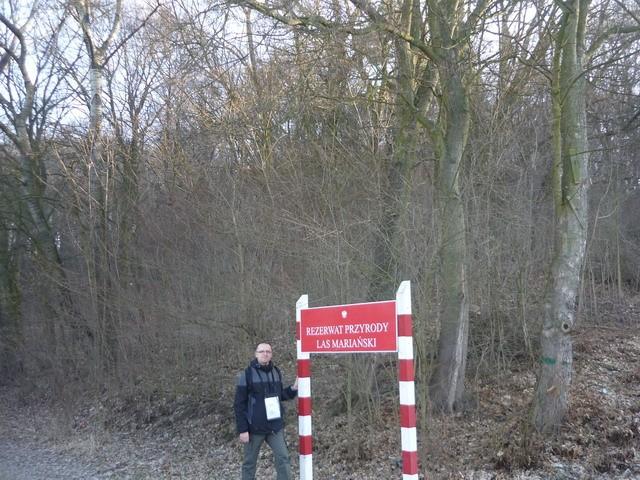 Rezerwat "Las Mariański" niedaleko Ostromecka