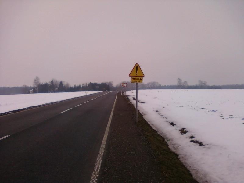 Przejazdy konne