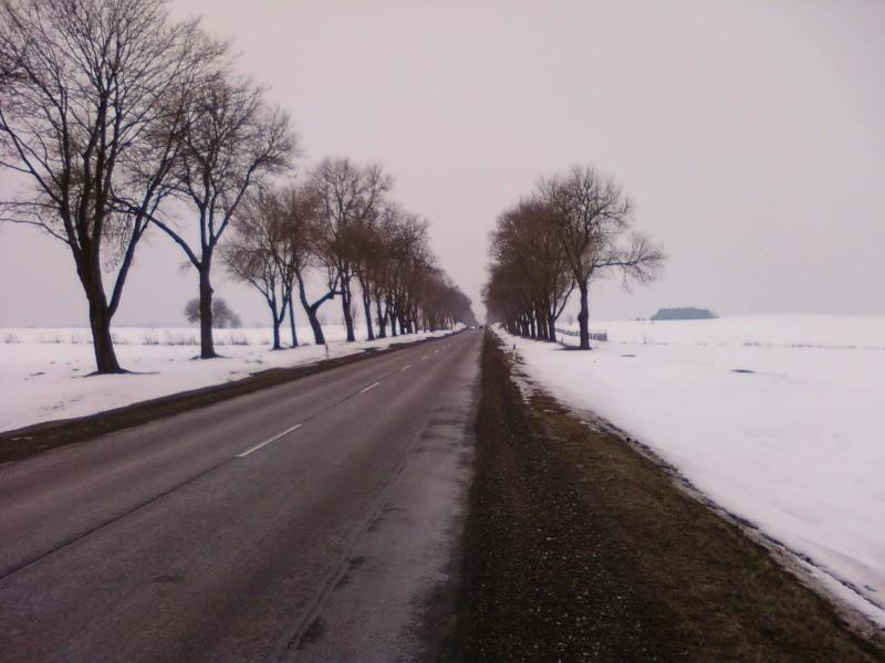 Szosa Stryków - Zgierz