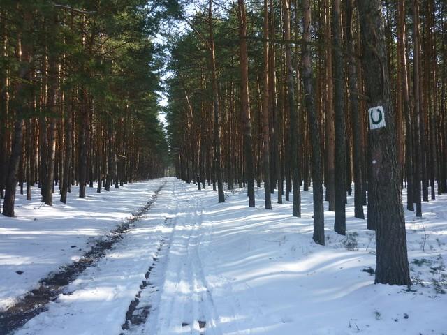 Szlak konny wydawał się być przyjazny dla piechura