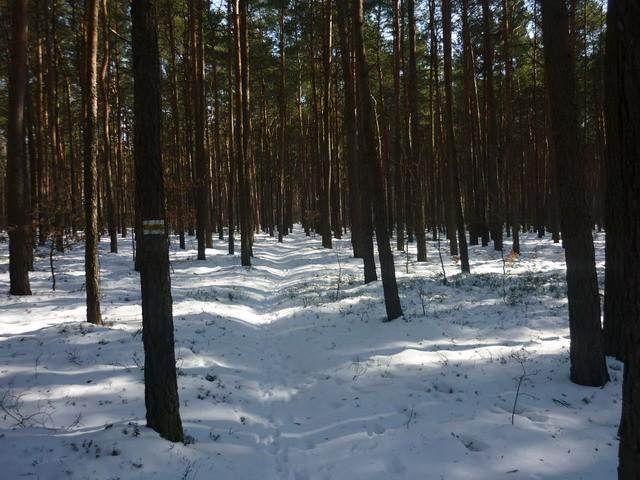 Część trudniejsza żółtego szlaku