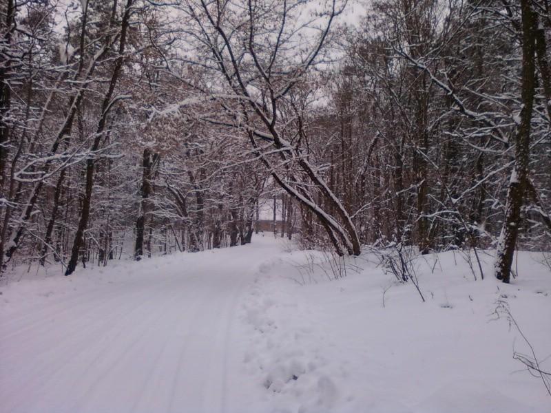 ul. Brukowa