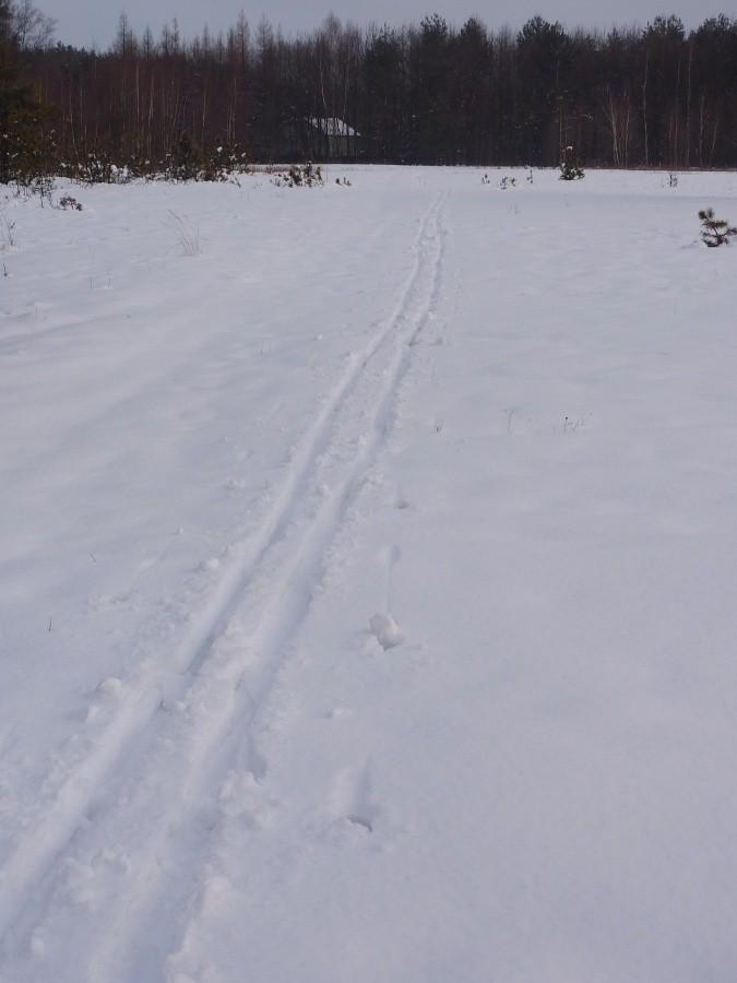 Kilkadziesiąt centymetrów puchu