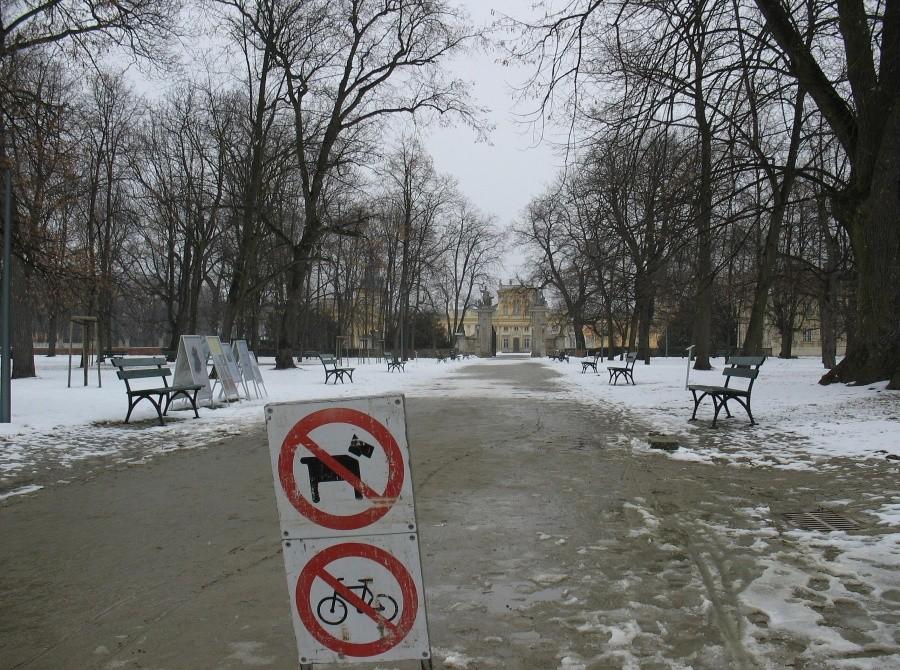 Alejka do Pałacu Wilanowskiego