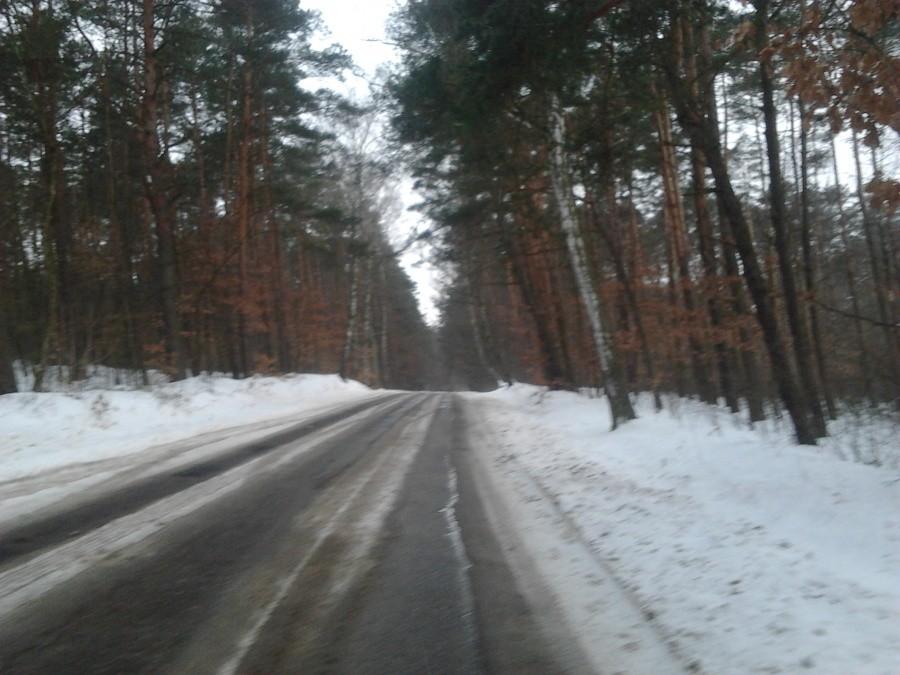 Wiosna 2013 (Piaski)