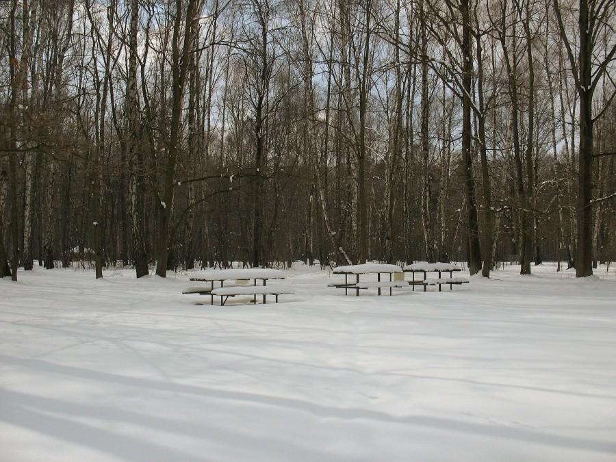 Śnieżny Park Kultury w Powsinie