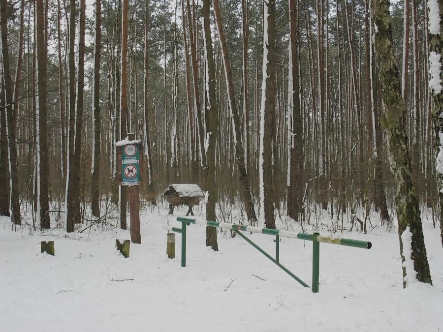 Paśnik WaypointGame