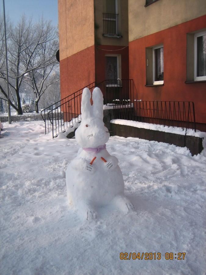 śniegowy zając nr 1