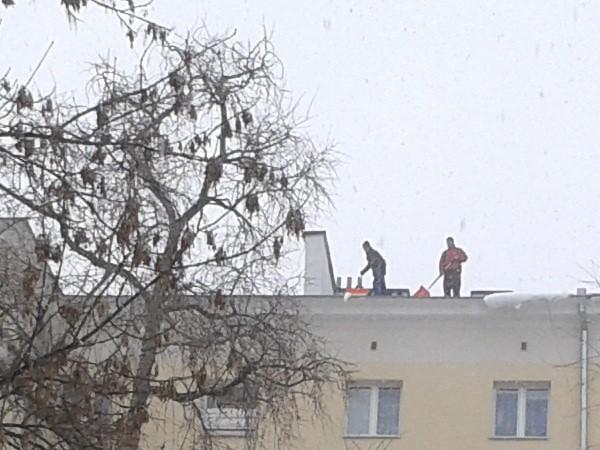 Odśnieżanie dachów