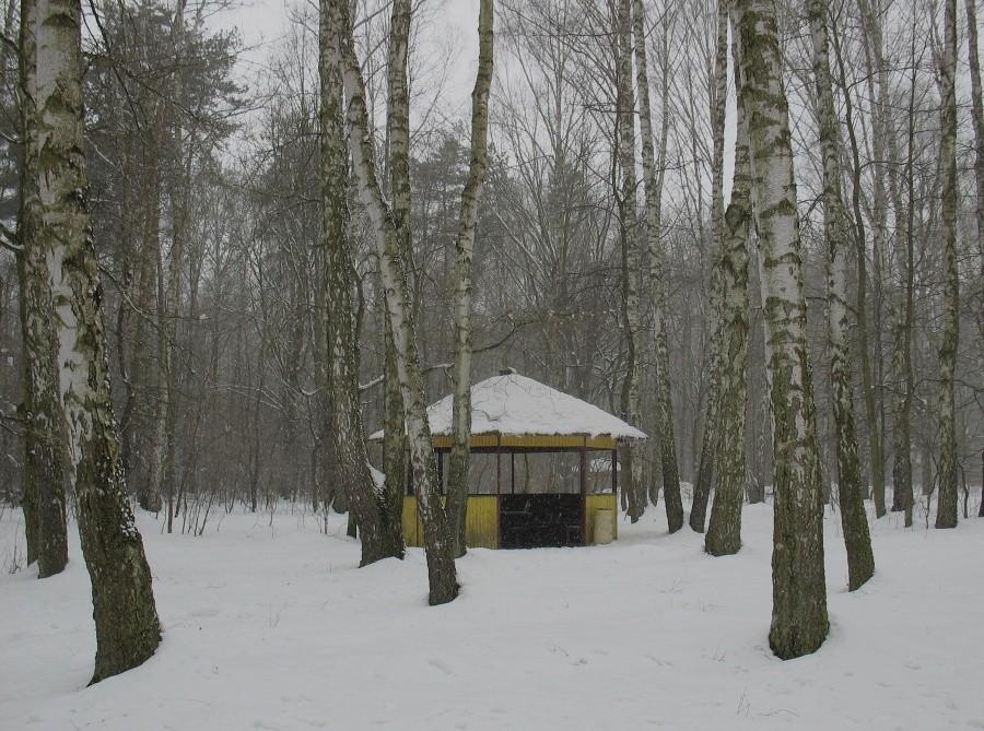 Schronienie przed zadymką