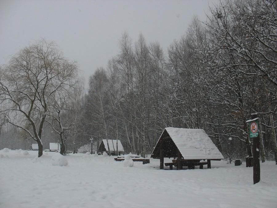 Polana turystyczna