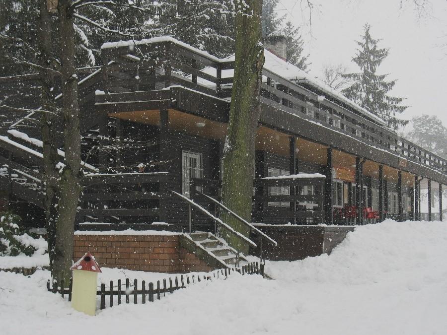 Park Kultury w Powsinie