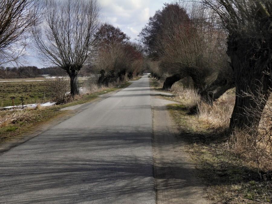 Droga pomiędzy Rothenklempenow a Dorotheenwalde.