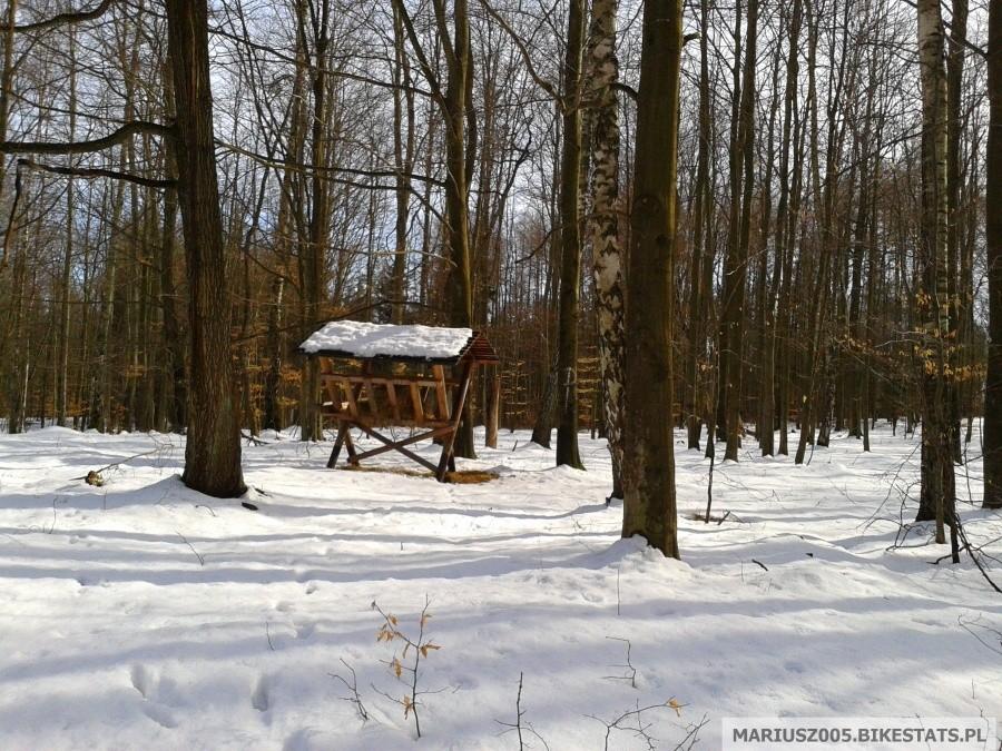 Foto z wyjazdu | 6 kwiecień 2013