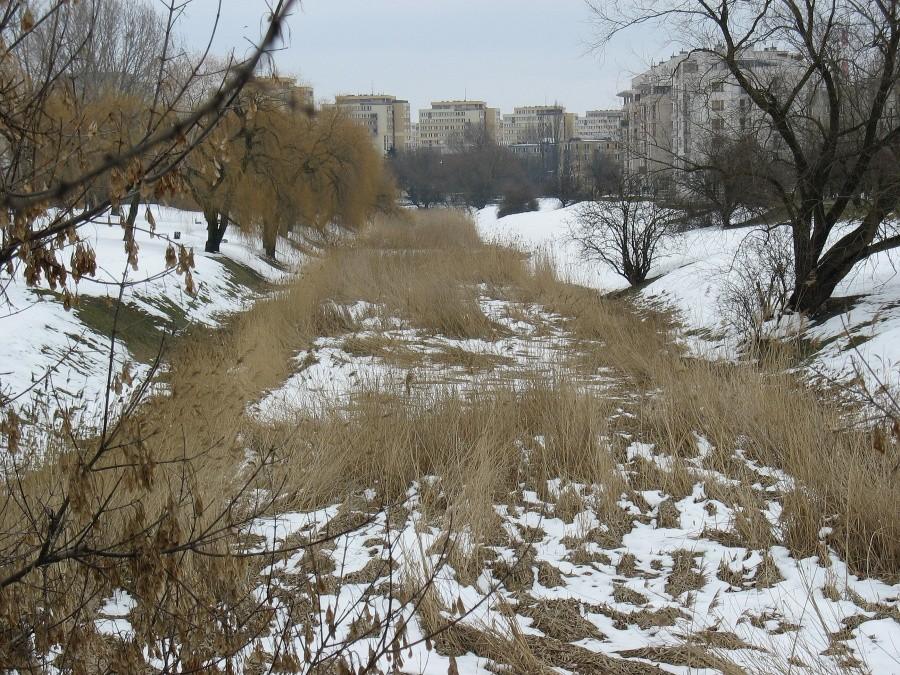 Fosa przedpola Fortu Piłsudskiego
