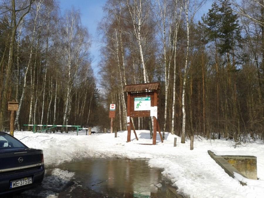Wiosno, obudź się i do roboty!