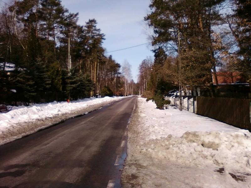 Sokolniki
