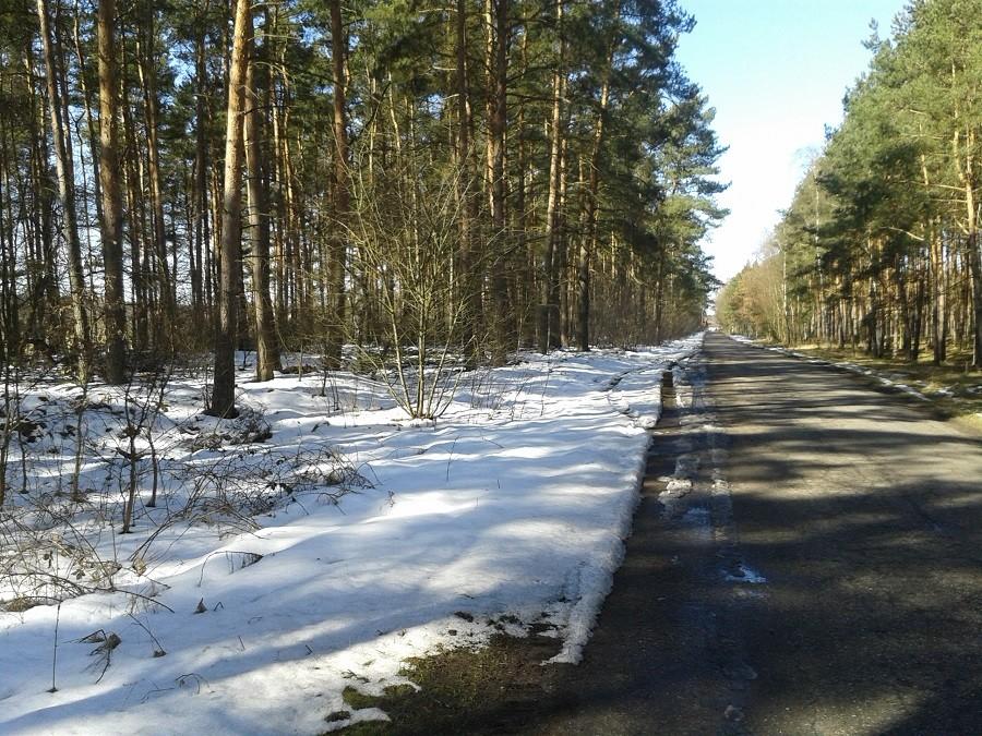 Ostatni śnieg