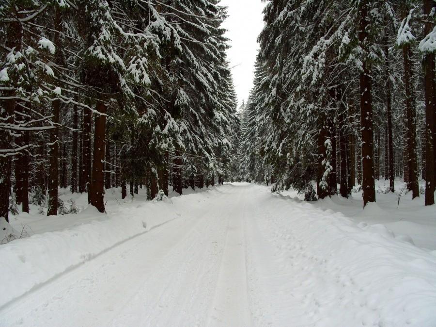Maksymalna prędkość 15 km/h i to cały czas z gotowością do katapulty bo nieraz przednie koło zazdrościło tylnemu i próbowało je podciąć co ja się miałem z tymi kołami ;).
