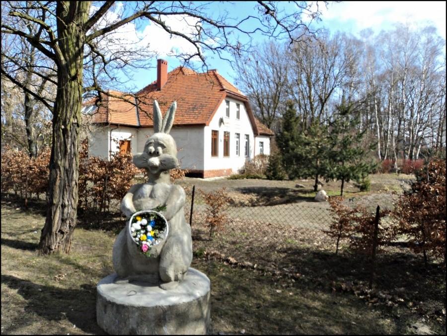 Zajączek w Zajączkowie.