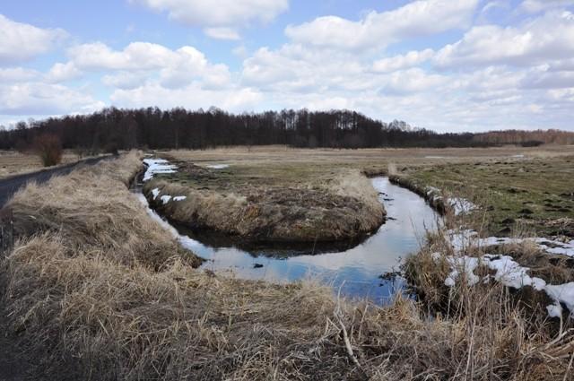 W drodze do Śluzy Rosko od strony Jędrzejewa