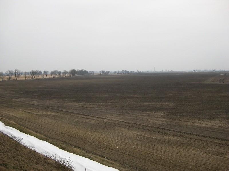 pole w Nagradowicach