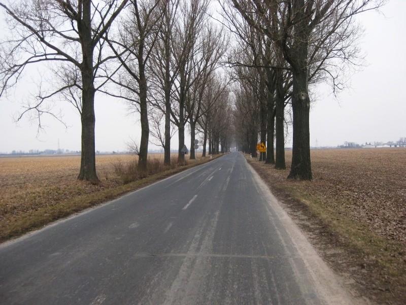zwykła, szara droga asfaltowa z Trzeku do Kostrzyna