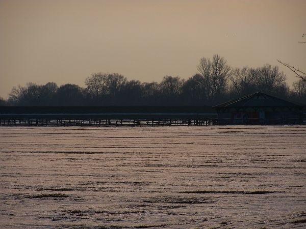 Stadnina w Sadach