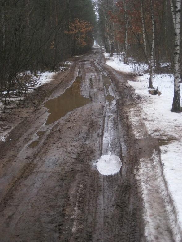 drogi leśne fatalne