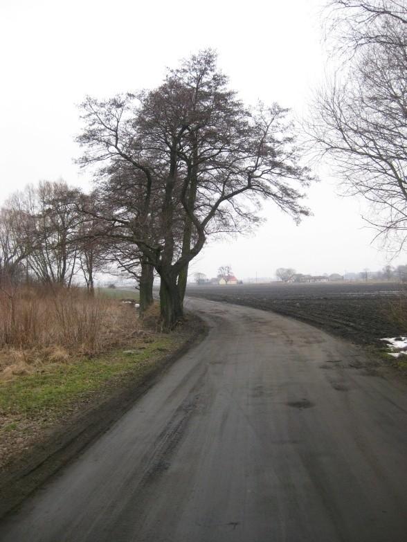 były też przejezdne terenowe kawałki