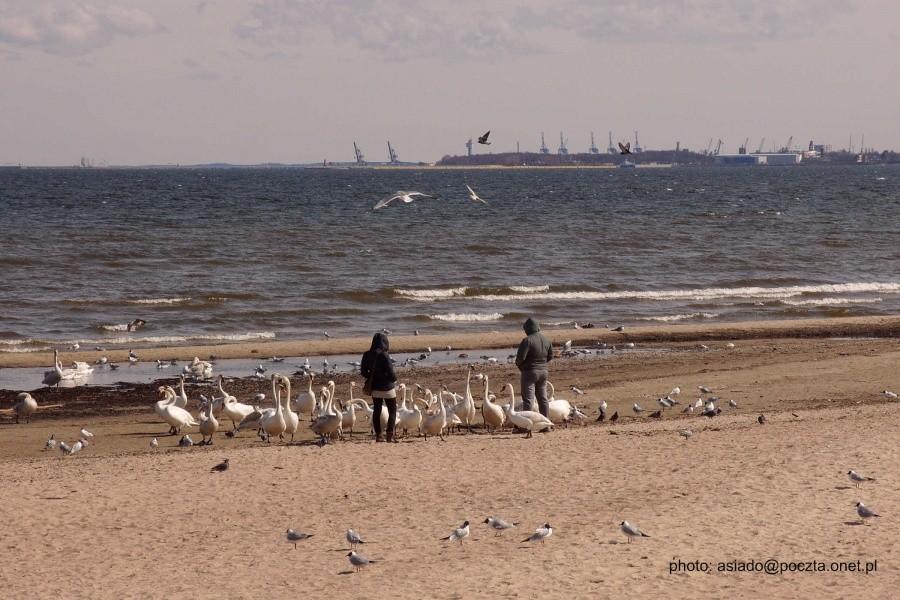 Plaża w Sopocie, w tle stocznia