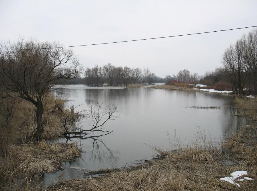 Jezioro Powsinkowskie