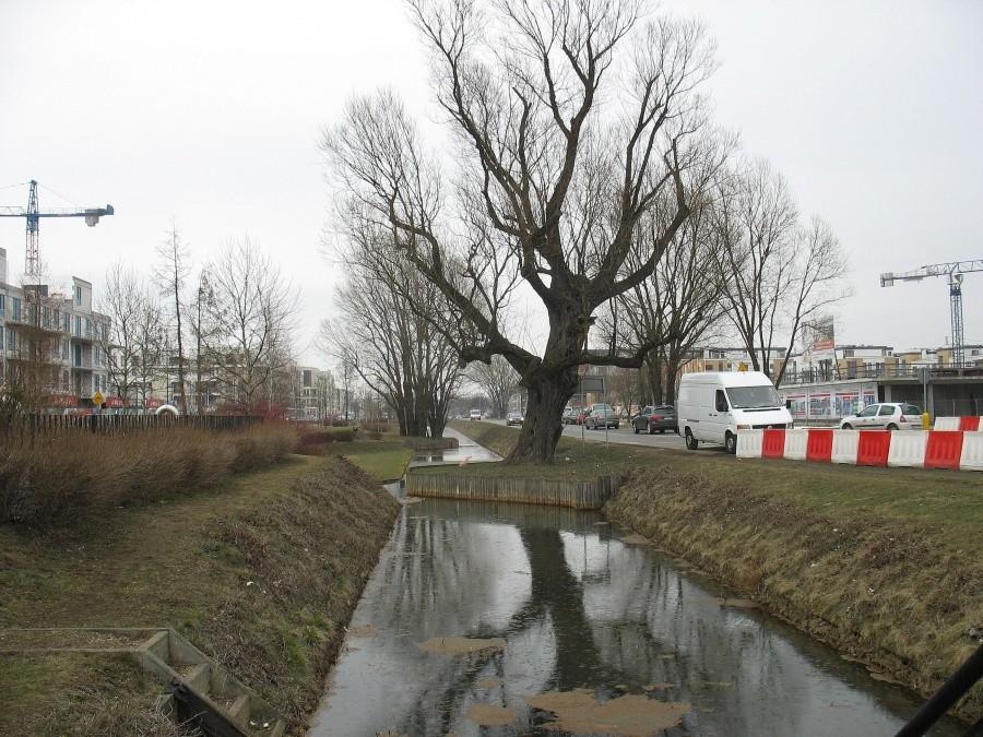 Wilanów prawie jak Amsterdam