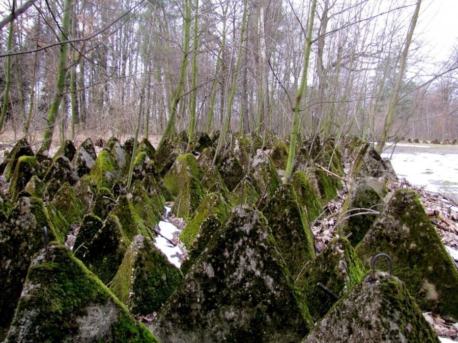 Darkovice - Okolice bunkra Obora