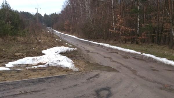 Śnieg się jeszcze trzyma gdzieniegdzie
