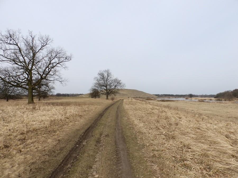 Taki widok wkrótce będzie historią