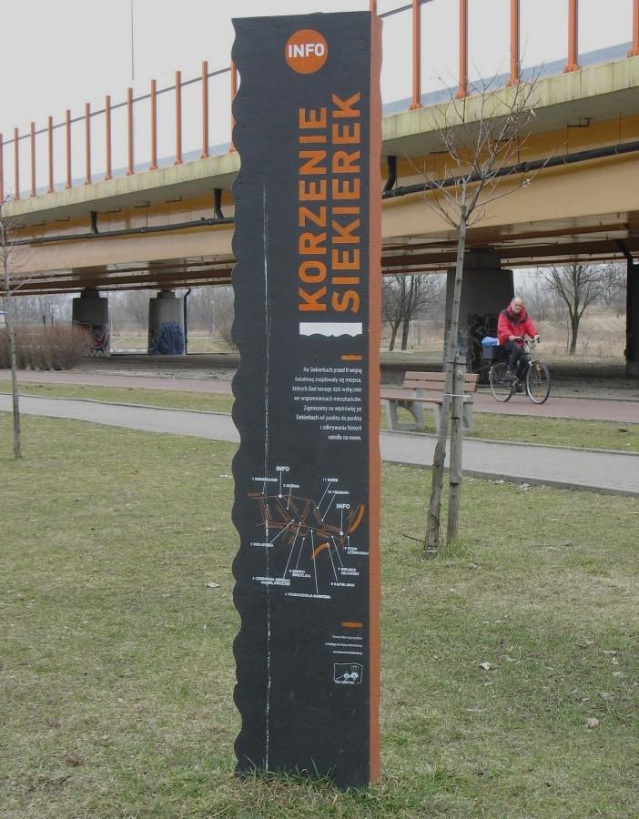 Korzenie Siekierek