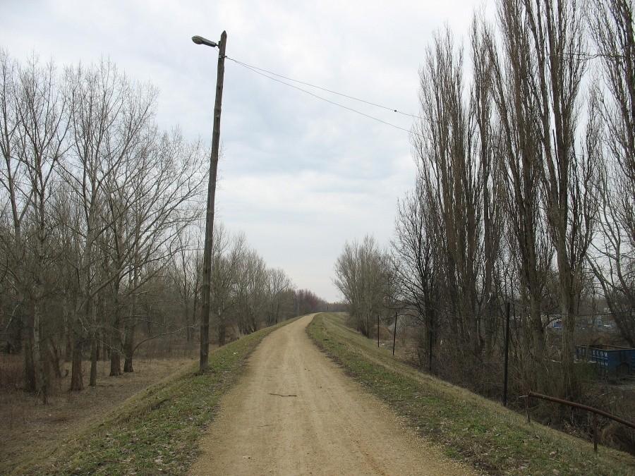 Ścieżka rowerowa na Wale Zawadowskim