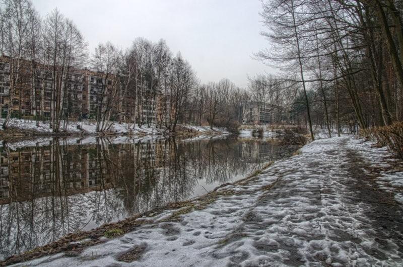 Staw w parku Zadole...