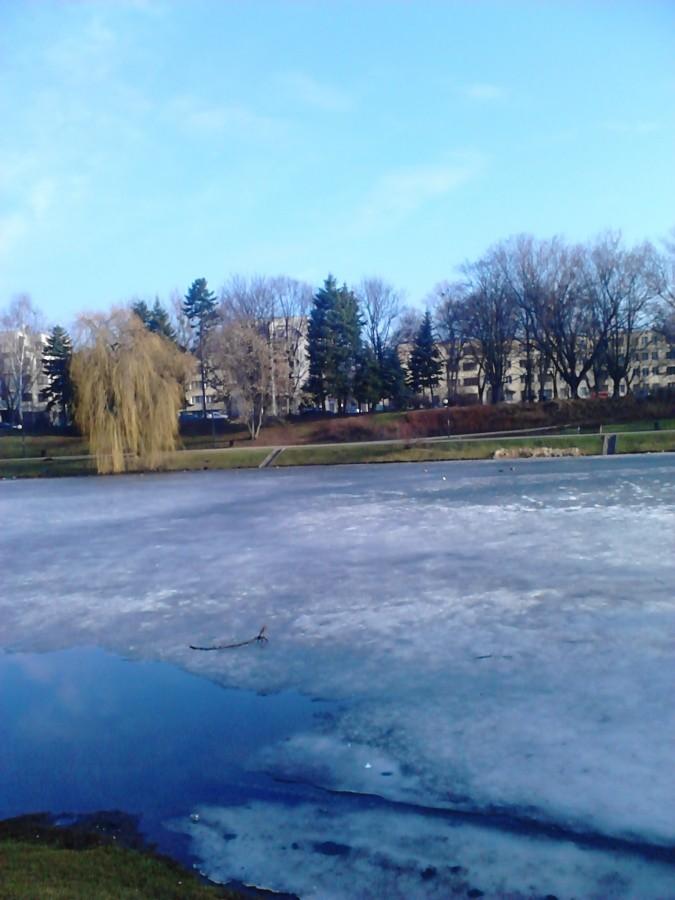 Lód na stawie na Moczydle