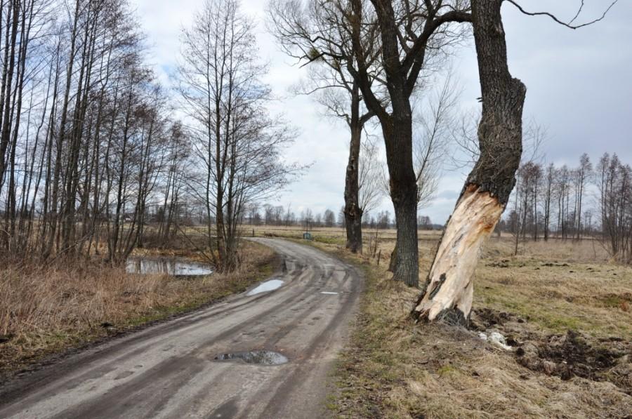 Droga dojazdowa do Śluzy Nr 13 w Walkowicach