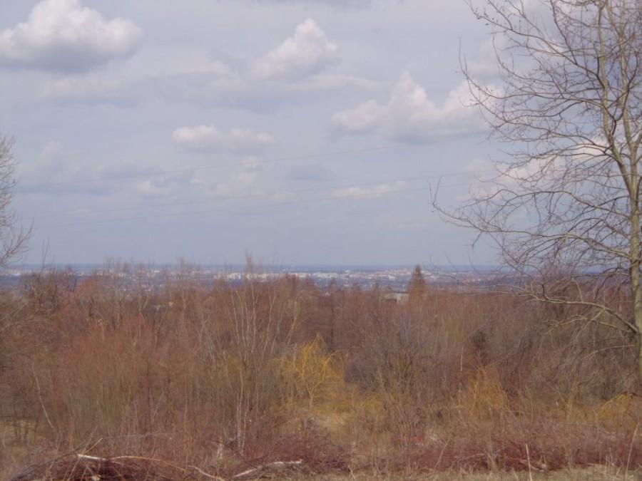 Rzeszów w oddali