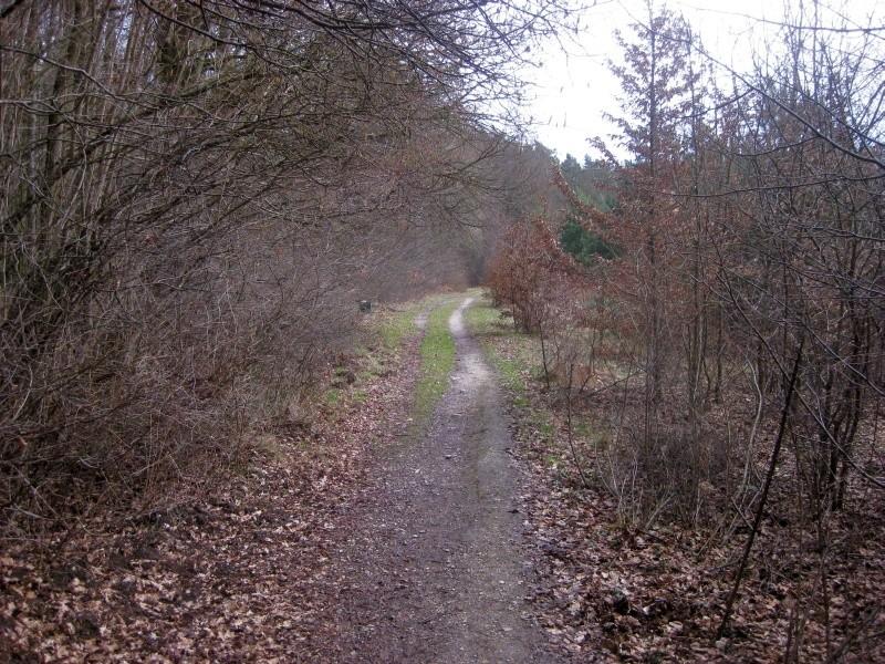 terenowa ścieżka nad Jezioro Strzeszyńskie